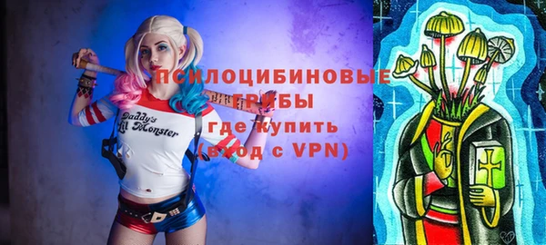дурь Алексин
