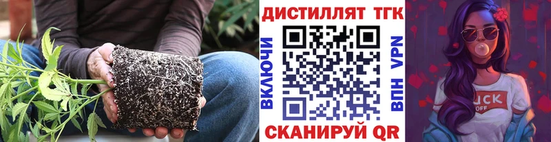 Купить закладки  Александровск-Сахалинский  ТГК вейп с тгк 