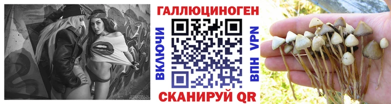 Купить закладки  Александровск-Сахалинский  Псилоцибиновые грибы прущие грибы 